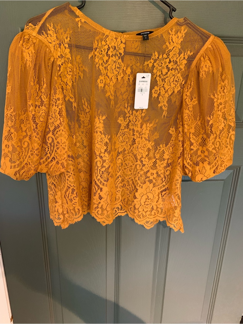Express Mustard Lace Puff Sleeve Blouse